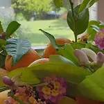 בית נופש House Domaine Rizomilos