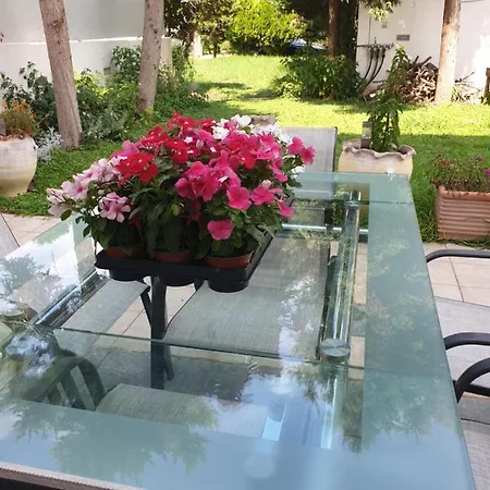 House Domaine Casa de Férias Rizomilos