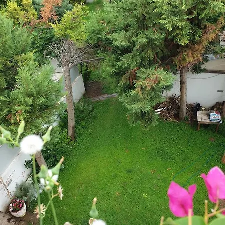 House Domaine بيت للعطل