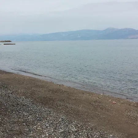 House Domaine * Rizomilos