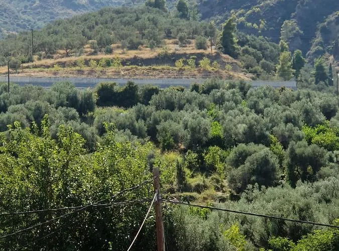 House Domaine بيت للعطل *