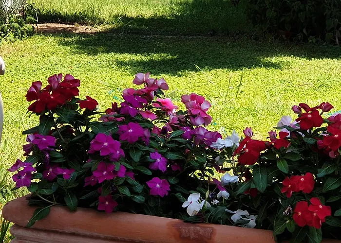 Vakantiehuis House Domaine *