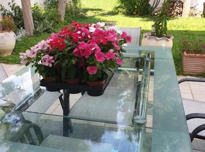 House Domaine بيت للعطل Rizomilos