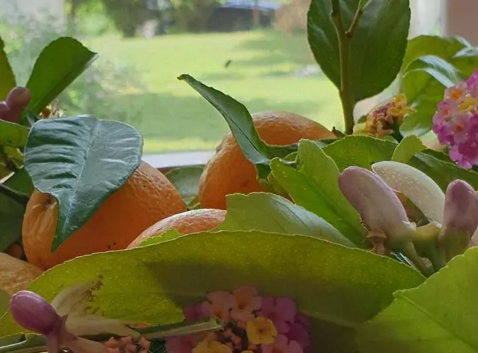 Vakantiehuis House Domaine Rizomilos