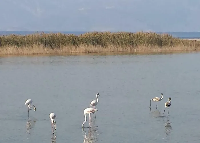 بيت للعطل House Domaine